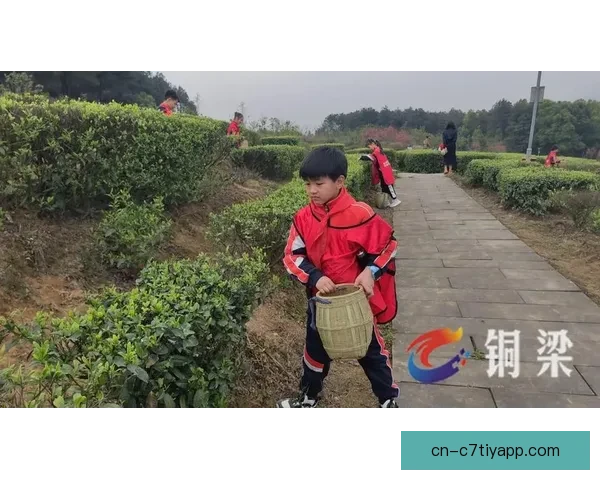 媒体人称铜梁萨达乌斯卡斯离队